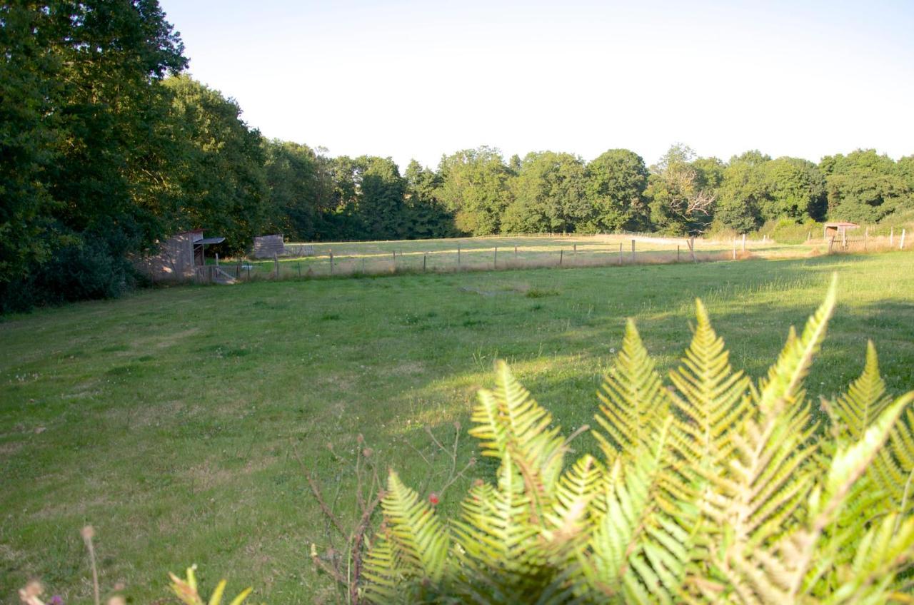 Gîte Le Champ Libre Dompierre-Sur-Yon Extérieur photo